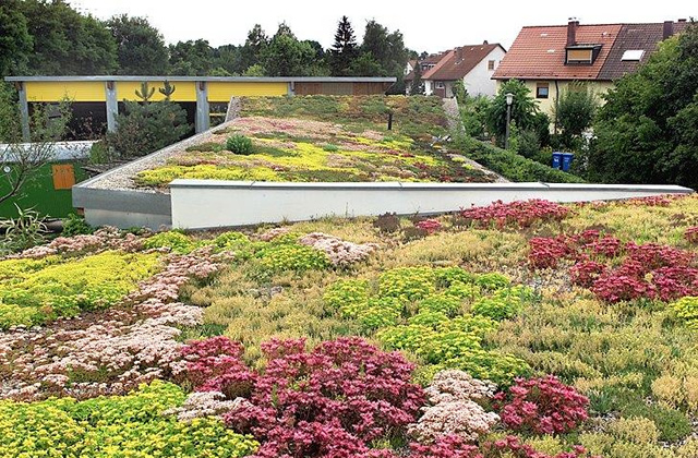 Friedrich Garten Und Landschaftsbau Startseite