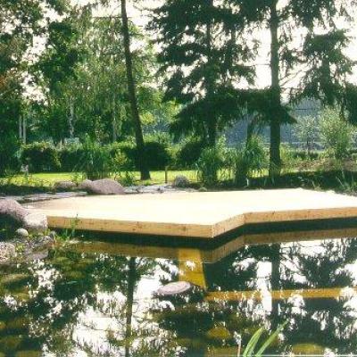 Schwimmteich3